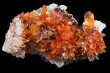 Orange Creedite Crystal Cluster - Durango, Mexico #79383-1